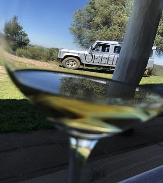 Visita alla Tenuta e Degustazione Vini