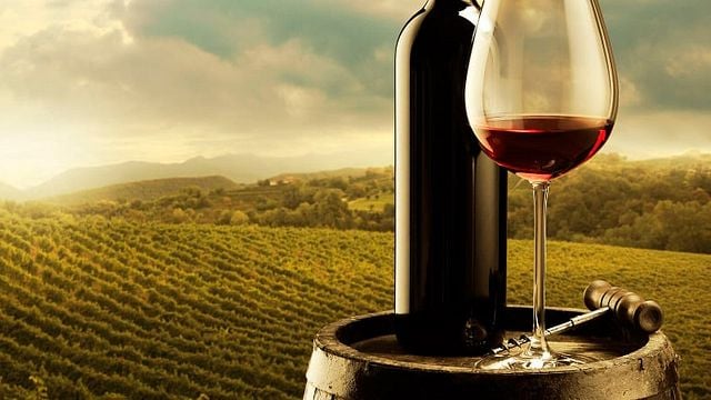 Cata de vinos y cena en Ludányi Pince
