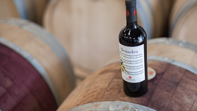 Cata de vinos y tour en Bodega Cerro San Cristóbal