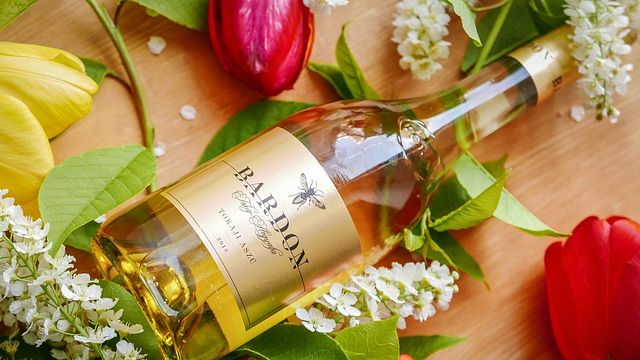 Upper Hungary Wine & Flavors at Bardon Winery