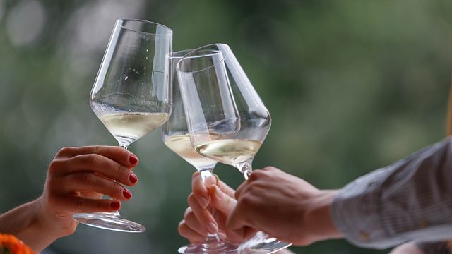 Bergamini Vini: A Legacy of Winemaking