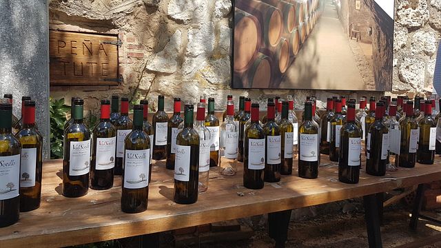 Bodegas Ismael Arroyo-Valsotillo