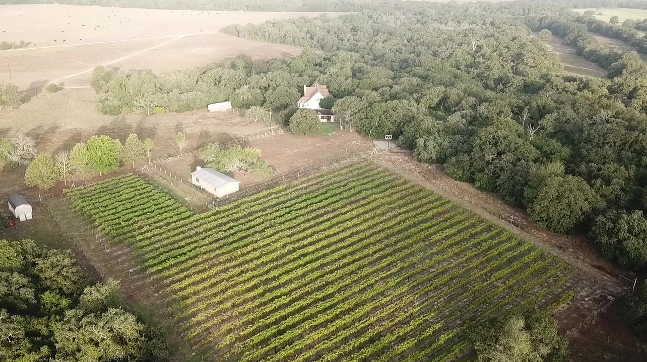 Descarado Wines