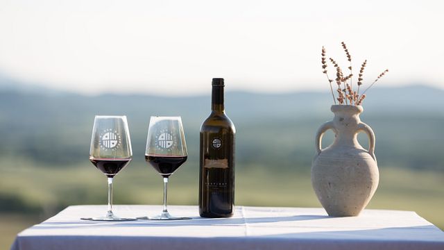 L'Atelier Complet du Vin à Conti di San Bonifacio
