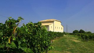 Bordeaux Bliss: Vignobles Lavau Wine Tasting