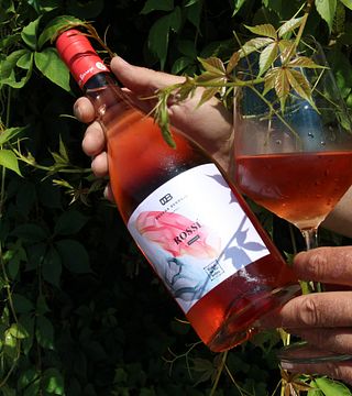 Bodega Berroja Winery