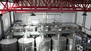 Dégustation de vins TOP5 et visite à Herdade Canal Caveira 
