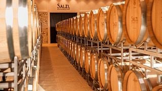 Cata de vinos y visita guiada al Salzl Seewinkelhof