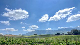 Tour Privado de Dia Inteiro com Degustação de Comida e Vinho