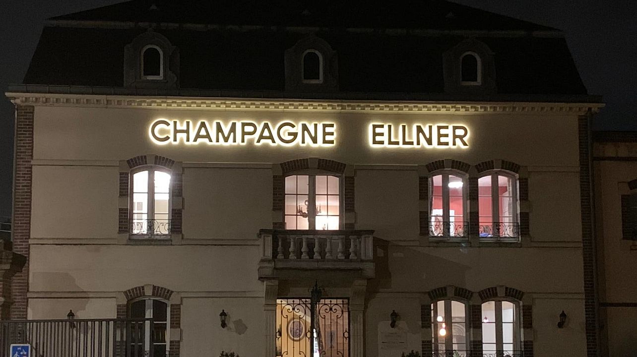 Dégustation et visite de vins au Champagne Ellner