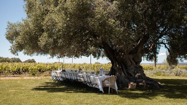 Degustação de vinhos com a Associação de Produtos Regionais