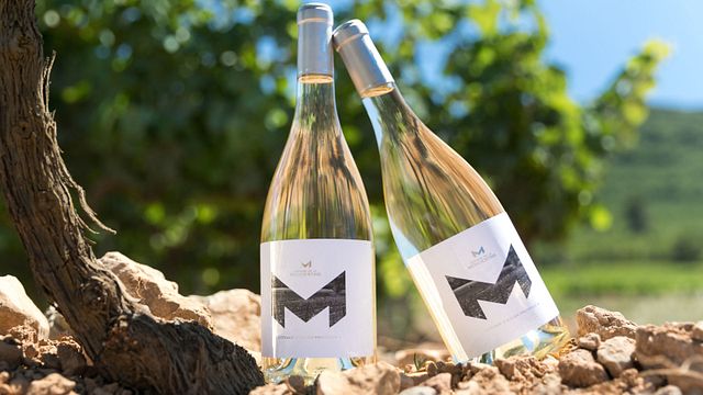 Degustação de vinhos e tour no Domaine de la Mongestine