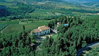 Dégustation de vins haut de gamme et visite à la Fattoria Castelvecchio