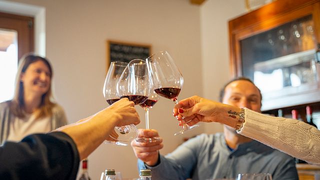 Vinprovning och rundtur på Le Bignele Winery