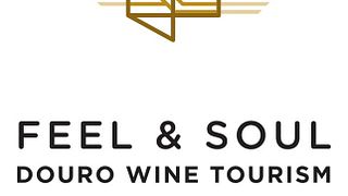 Vinho Verde Escape: Wine & Serenity at Quinta do Castanheiro