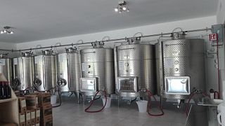 Degustazione e tour di vini presso Angelini Paolo