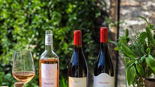 Discover Tuscany on a Guided Wine Tour & Tasting