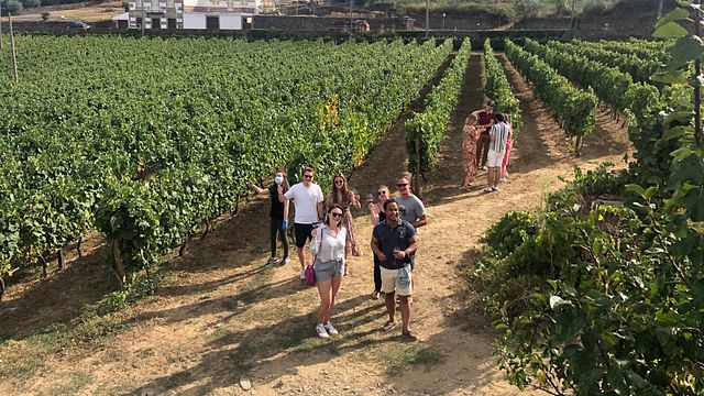 Douro Valley Tour: vinprovningar, båttur och lunch