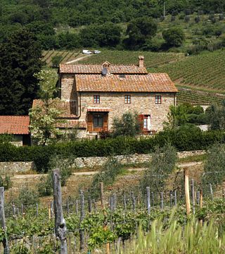 Cata y visita de vinos en La Castellina