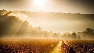 Weinprobe und Führung im Domaine La Madura