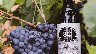 Grandes Vinos Winery