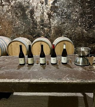 Private Tour durch die Region Beaujolais, Weinproben und lokales Restaurant