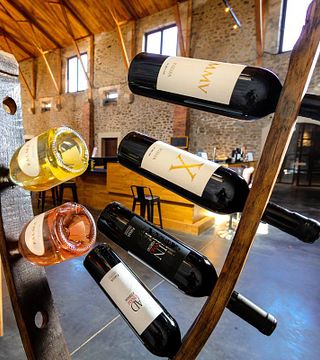 Prestige Wine Tasting at Château de Paraza