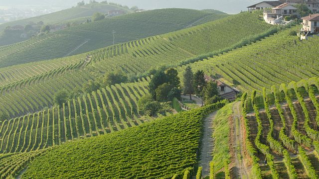  " Langhe del Barbaresco " Visite privée en vélo électrique - Asphalte uniquement