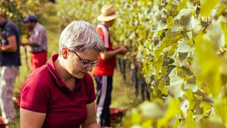 Weingut Gregor & Thomas Schätzle