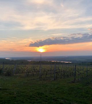 Rábai Katalin Winery