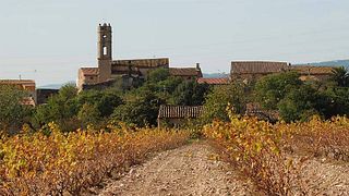 Degustazione di vini al Celler Mas Bella