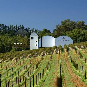 Trascorrere del tempo in un appartamento a Ladybird Vineyards 