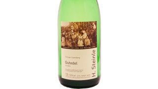 Degustazione di vini presso Weingut H.Steinle