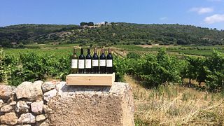 Languedoc-Roussillon Wine & Vineyard Discovery at Domaine l'Aiguelière