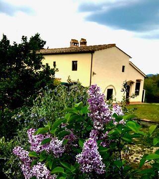 Cata de vinos y visita guiada a Fattoria Castelvecchio