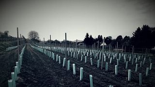 Vinprovning och rundtur på Weingut DI Johanes Stuttner