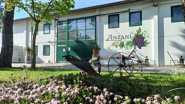 Guidade turer på Zinzani Winery