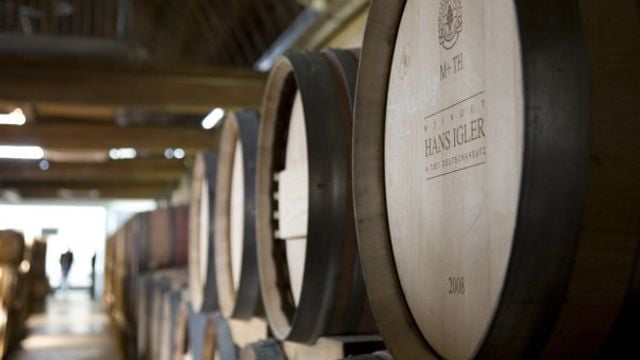 Degustação de vinhos e tour no Weingut Hans Igler