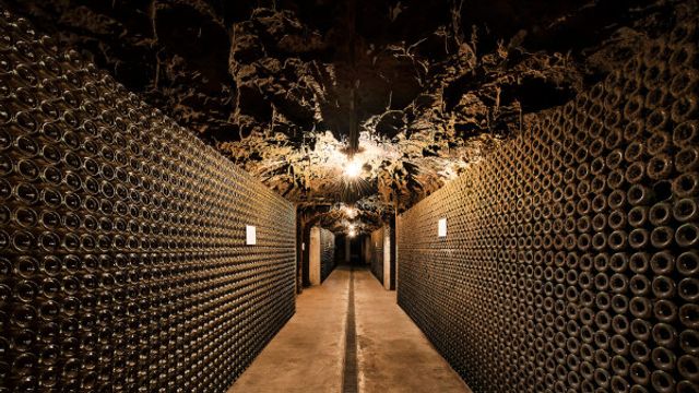 Tour Privado de Vinhos Bairrada e Aveiro