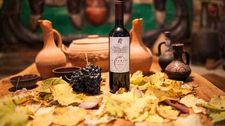 Degustação de vinhos e tour na vinícola Demi`S
