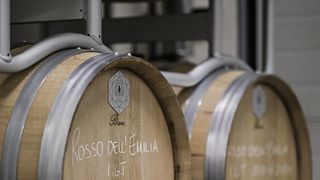 Modena Cantina Ventiventi - Wintour, Verkostung von 5 Weinen und lokalen Spezialitäten