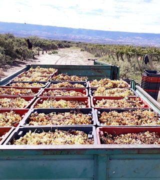 Las Arcas De Tolombon Winery