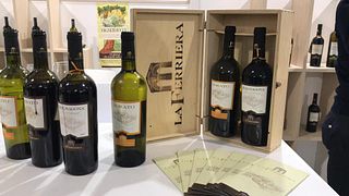 Dégustation de vins et visite à La Ferriera