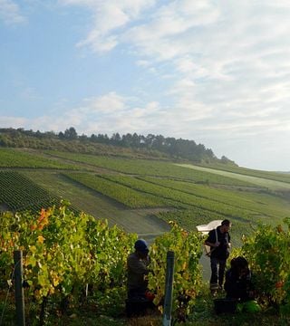 Domaine Clotilde Davenne