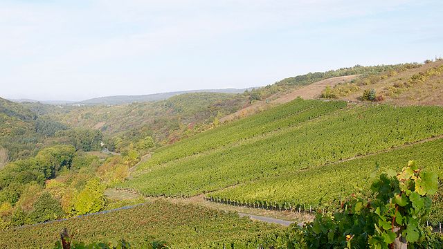 Degustazione di vini e visita al Prinz Salm