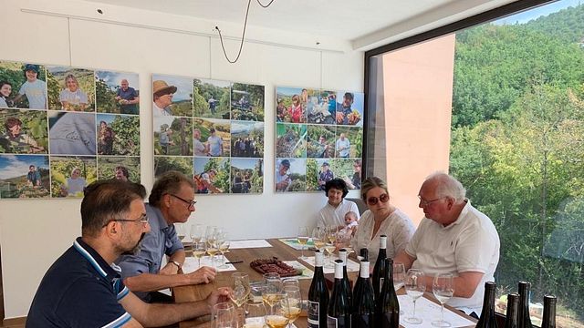 Lazio's Ancient Maturano: Rare Organic Wine Tasting