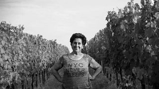 Experiência definitiva Plus: 6 degustações de vinhos, incluindo 2 vinhos Riserva.