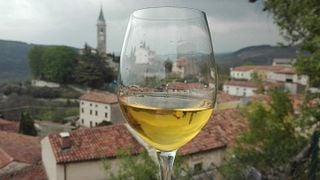 Weinprobe und Führung in der Azienda Agricola Vicentini Agostino