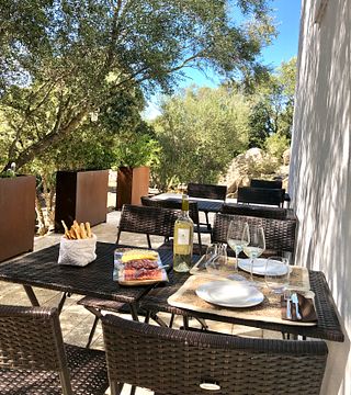 Taste Sardinia’s Premium Vermentino Wines with Local Bites