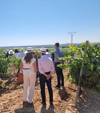 Vineyard Hike, Guided Winery, Castle Tour & Signature Tasting